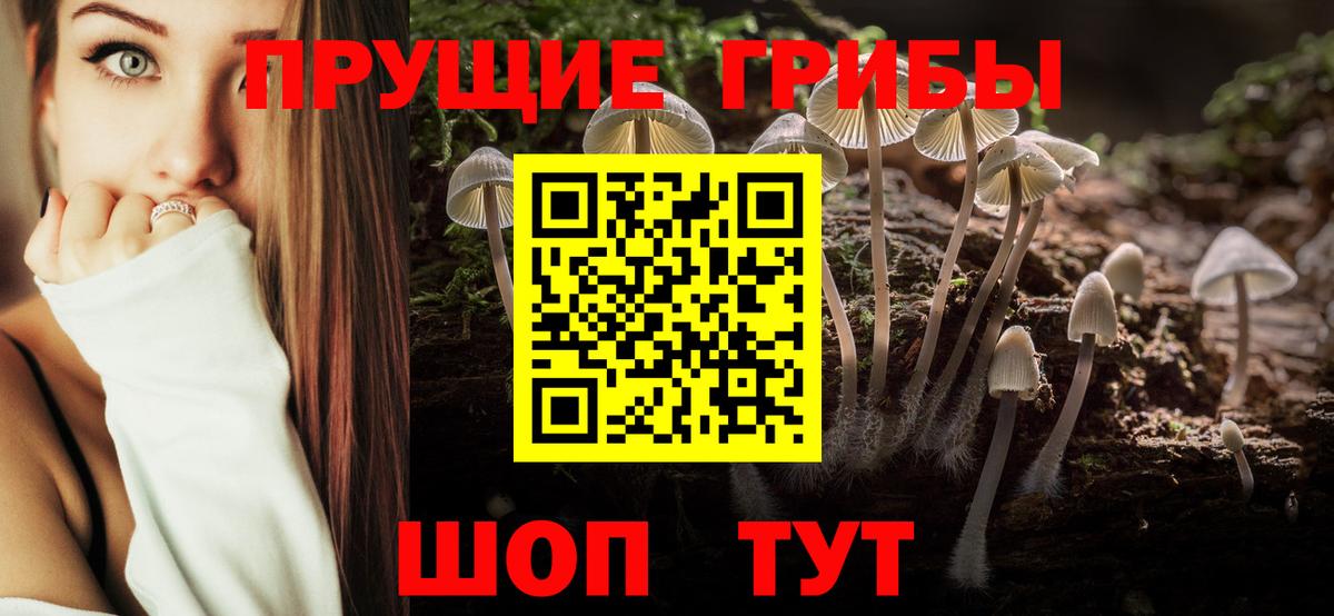 где продают наркотики  Галлюциногенные грибы мицелий  Псилоцибиновые грибы Psilocybine cubensis  Вход с VPN  Норильск 