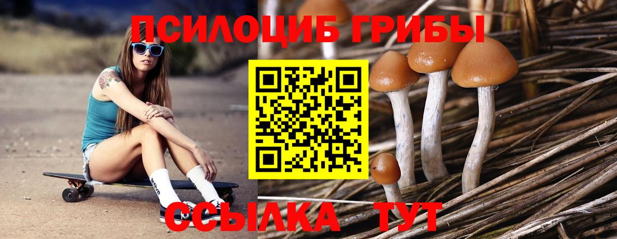 Псилоцибиновые грибы MAGIC MUSHROOMS Норильск