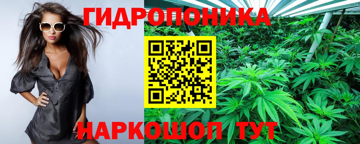 Каннабис конопля  Вход с VPN  Норильск  Марихуана MAZAR  Шишки марихуана конопля 